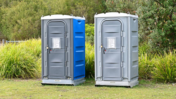 Best Portable Toilets with Baby Changing Stations  in Solomon, KS